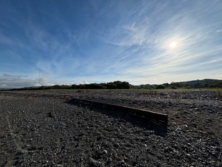 IMG_7663.jpg