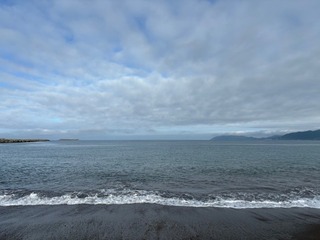 IMG_7733.jpg