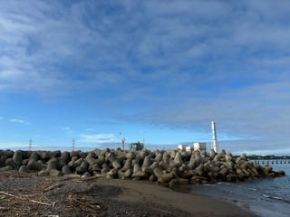 IMG_7735.jpg