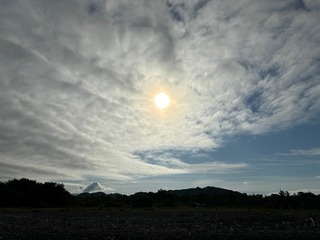 IMG_7736.jpg