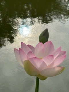 IMG_7739.jpg