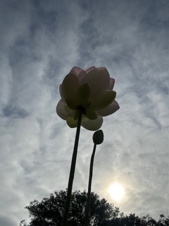 IMG_7749.JPG