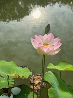 IMG_7753.jpg