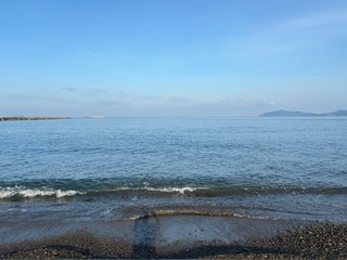 IMG_8016.jpg