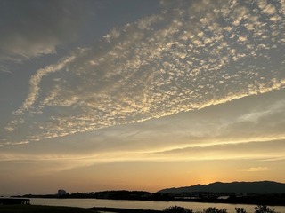IMG_8056.JPG