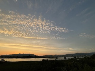 IMG_8058.jpg