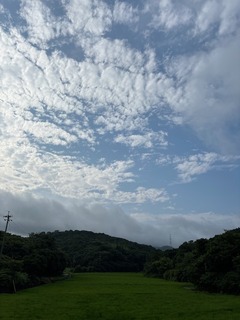IMG_8111.JPG