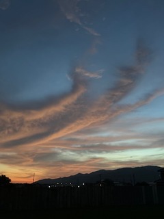 IMG_8122.JPG