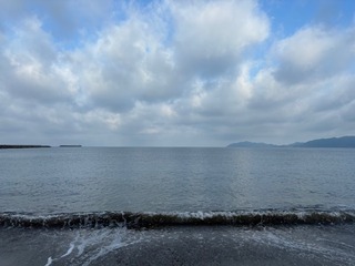 IMG_8127.jpg