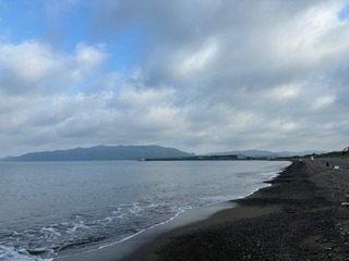 IMG_8128.jpg