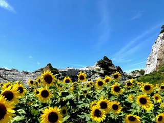 IMG_8323.jpg