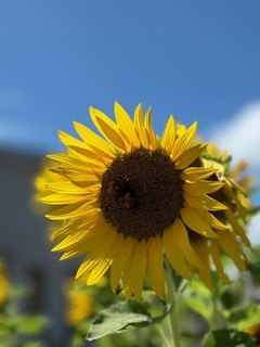 IMG_8326.jpg