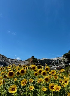 IMG_8327.jpg