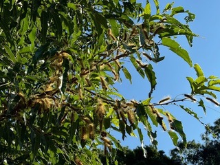 IMG_8442.jpg