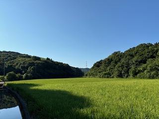 IMG_8444.JPG