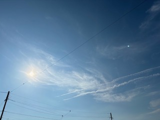 IMG_8484.JPG