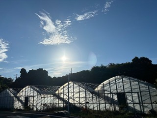 IMG_8690.jpg