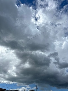 IMG_8699.JPG