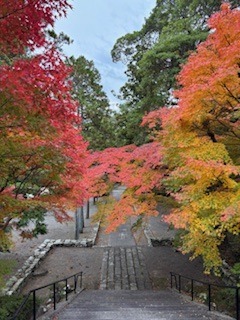 IMG_9966.jpg